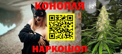 гашик Ипатово
