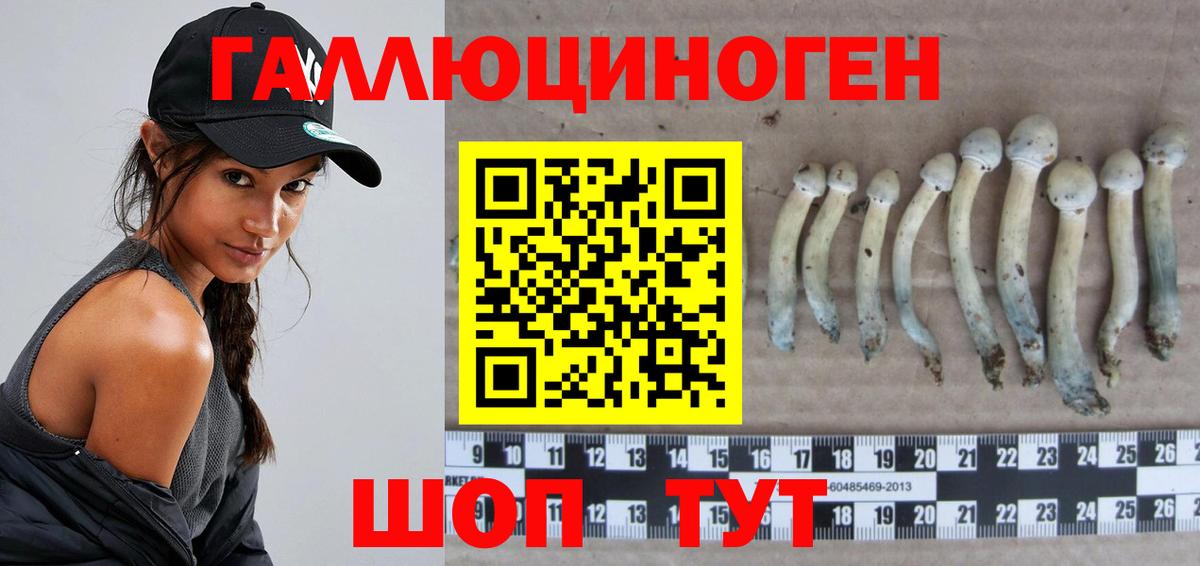 Галлюциногенные грибы GOLDEN TEACHER Курчатов