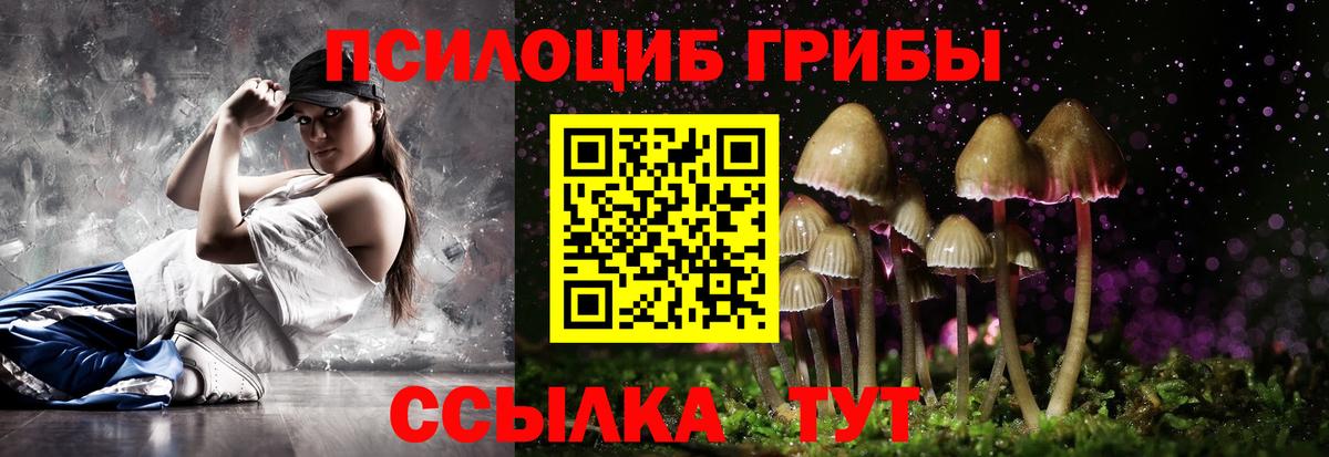 Курчатов  Галлюциногенные грибы Psilocybe  Вход с VPN 